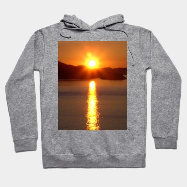 Alaska sunset Hoodie by WelshDesigns